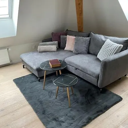 Gemuetliche & Zentrale In Der Stadt Apartmán